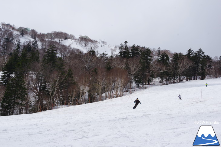 札幌国際スキー場 積雪豊富☆明日の営業最終日も、ほぼ全面滑走可能です!!